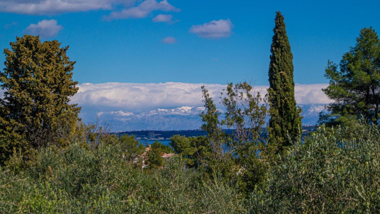 Vecchia Oliva,Kuljica Villa Kukljica Exterior foto