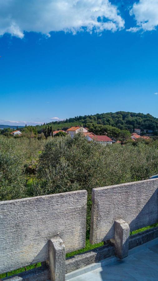 Vecchia Oliva,Kuljica Villa Kukljica Exterior foto