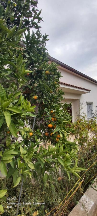 Vecchia Oliva,Kuljica Villa Kukljica Exterior foto