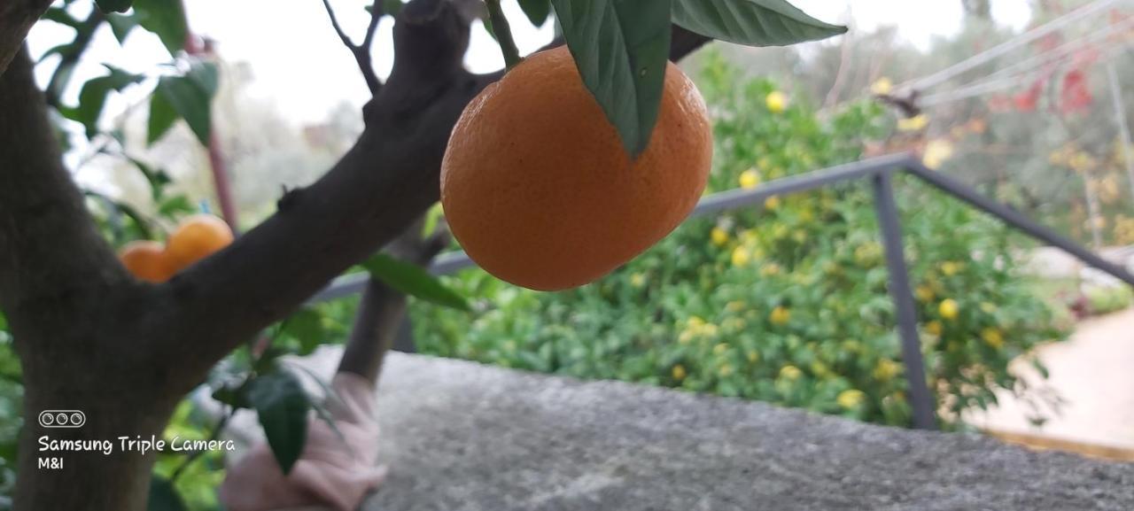 Vecchia Oliva,Kuljica Villa Kukljica Exterior foto