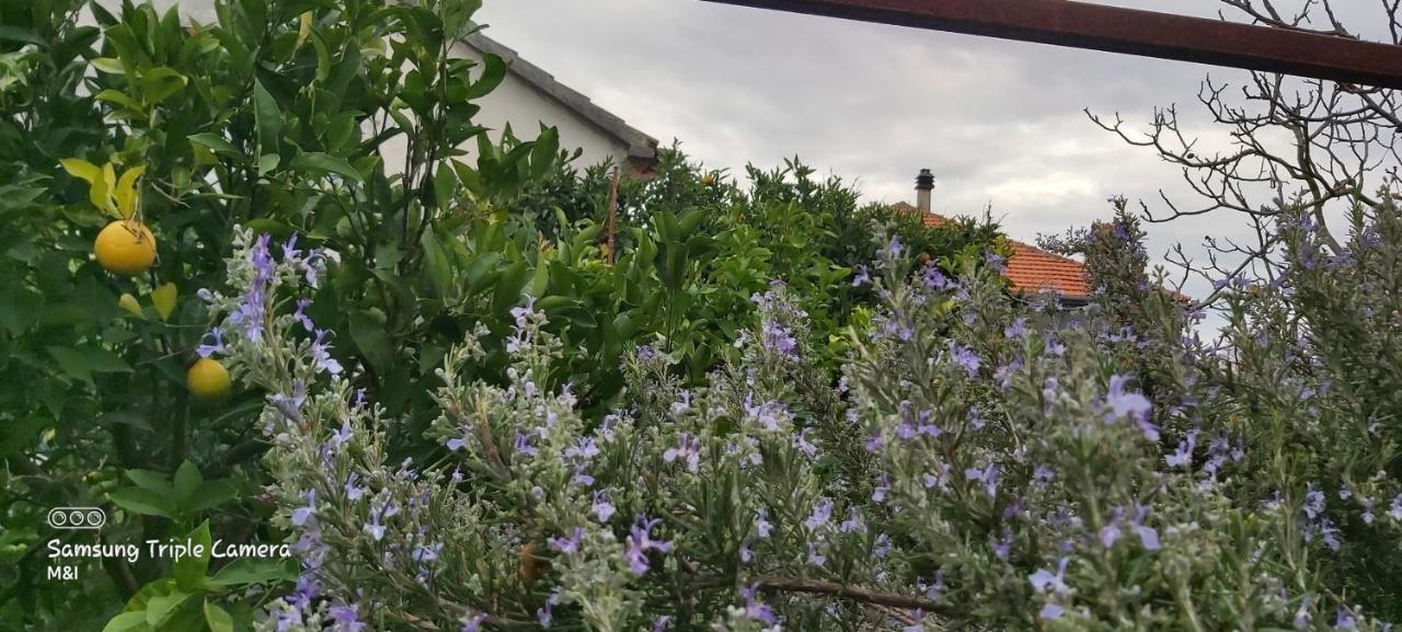 Vecchia Oliva,Kuljica Villa Kukljica Exterior foto